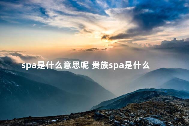 spa是什么意思呢 贵族spa是什么意思